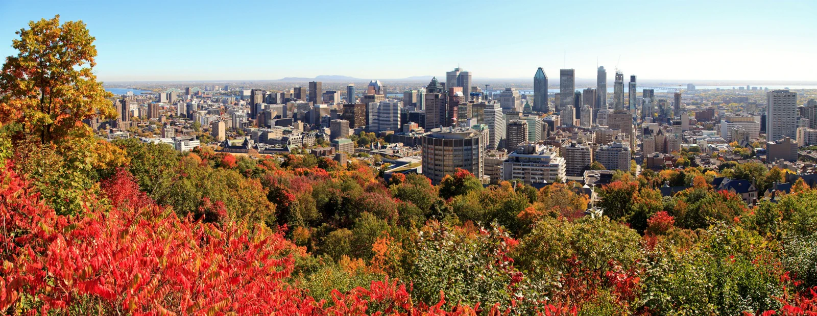 Panoramic view of Montreal skyline.